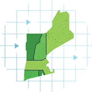 spot illustration