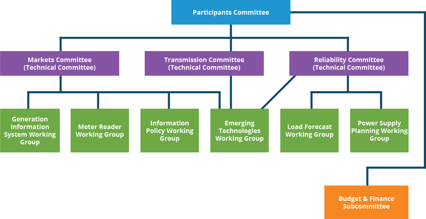 Participants Committee structure