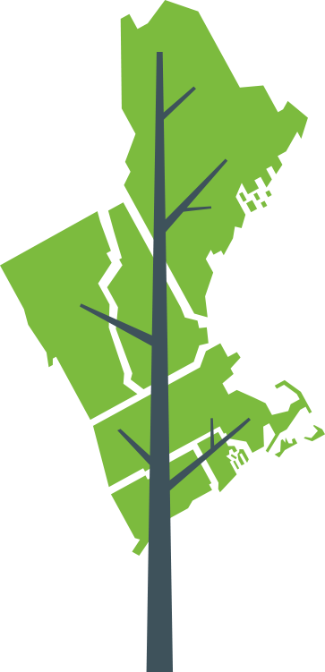 iso-ne tree
